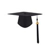 SAMDEEMI Graduation Tassel with 2024 Gold Year Charm for Graduation