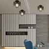 iDEGU Industrial Ceiling Light Cage Chandelier Metal Iron Light for