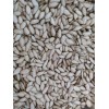 Unbranded 50 SEMILLAS DE PIPIAN CRIOLLO SALVADOREÑO
