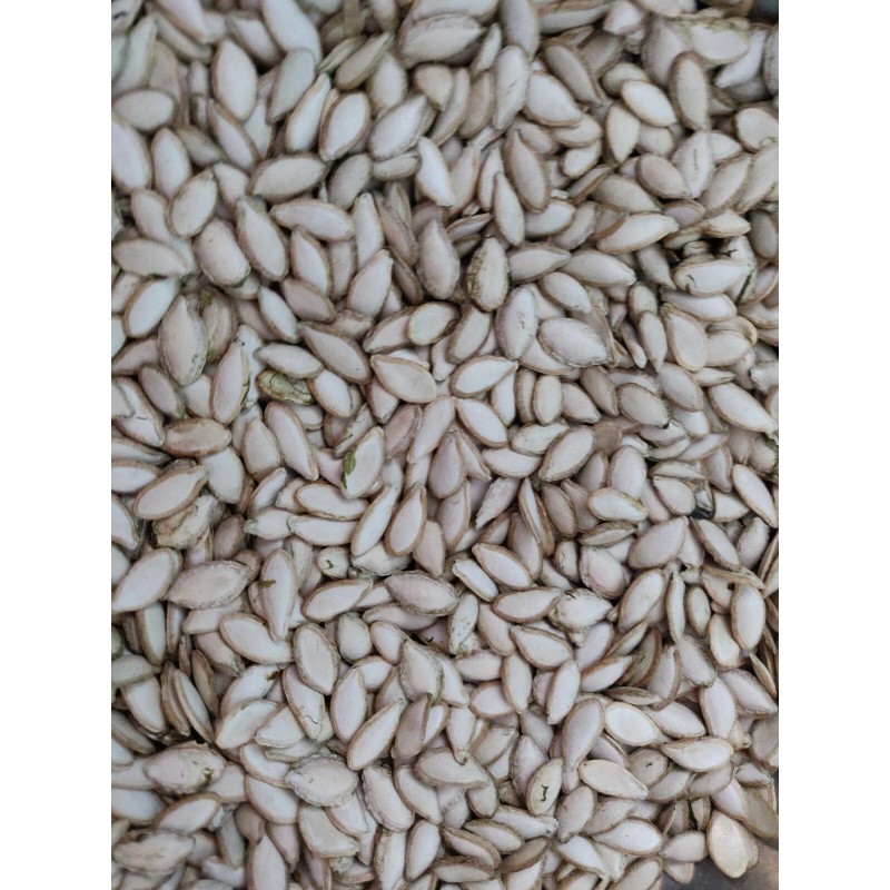 Unbranded 50 SEMILLAS DE PIPIAN CRIOLLO SALVADOREÑO