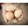 Eggcellent Update 2.2Lbs 95% More Calcium Than Mealworms, Non-GMO High