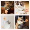 fnqiank 10 PCS Mini Hands for Cats，Small Hands Tiny Folded