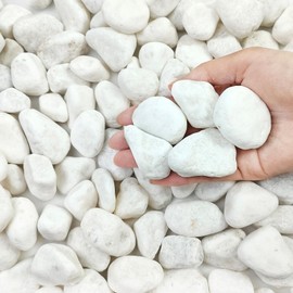 FANTIAN 5 lbs White River Rocks for Plants, 1-2 Inch Pebbles for Indoor Plants, Decorative Gravel Stones for Succulent, Cactus, Landscaping, Vases, Aquariums, Crafting and Garden