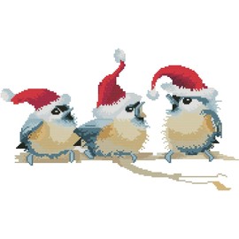 Gofission 11ct Stamped Cross Stitch Kits for Adults Beginners, Three Bird with Christmas Hat DIY Pre Printed Cross Stitch Embroidery Set with Accessories Wall Decor 35x50cm