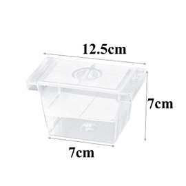 AquaBreed Fish Breeding Box - Transparent Hatchery With Suction Cups, Ideal For Aquarium Tank Fish Protection