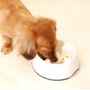 コノコ (KONOKO) ゆっくり食べれる食器S