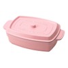 Takenaka Kokopotto Rectangular Bento Box