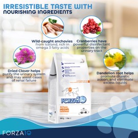 Forza10 Active Kidney Renal Cat Food for Adult Cats, Kidney Cat Food Dry for Heart and Renal Problems, Wild Caught Anchovy Flavor, 2 Pound Bag