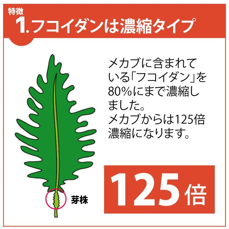 フコイダン (フコイダン330mg/日) 30日分