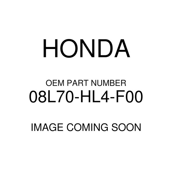 2017-2020 Genuine Honda Pioneer 1000 3P 5P Under Seat Storage Box 08L70-HL4-F00