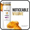 Pantene Pro-V Champú y Acondicionador 2 en 1, Volumen Puro