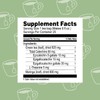 Hyleys Moringa Oleifera and Green Tea Turmeric Flavor - 25
