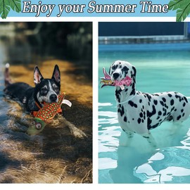 Squeaky Dog Water Pool Toys 4 Pack, Interactive Summer Essentials Floating Dog Toys for Small Meidum Dogs Water Beach Fetch