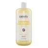 Shampoo Efecto Lacio Celesty 1lt