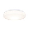 Paulmann HomeSpa Axin 78898 Ceiling Light IP44 260 mm Max.