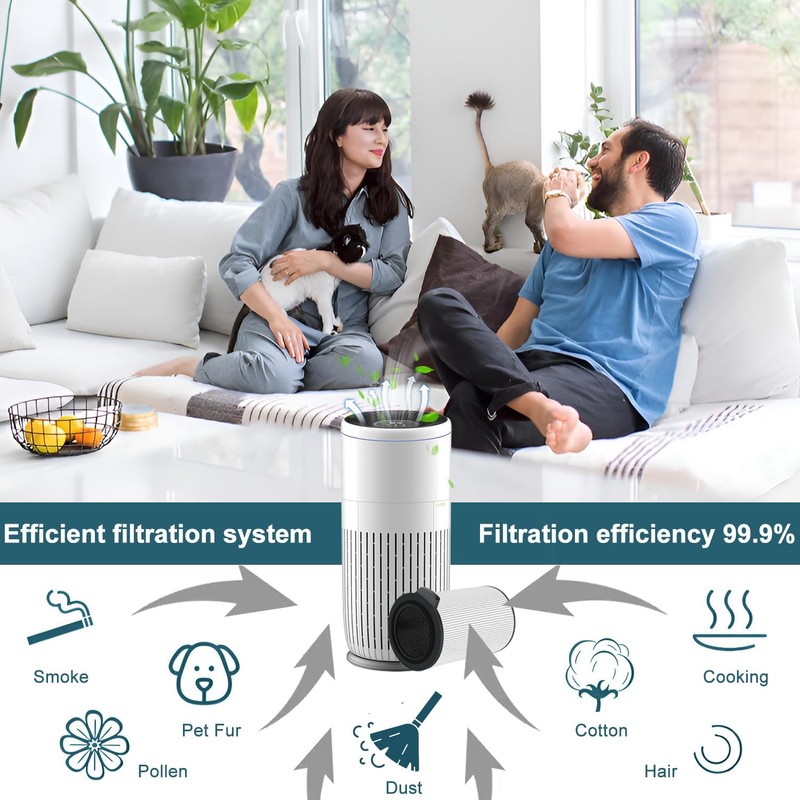 HOAXCINN Replacement Air Filter Compatible with BOSCH 6000 Air Purifier,