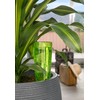 Scheurich Copa XL Plastic Water Reservoir, Colour: Copa XL, Green,