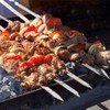 10 Pieces Stainless Steel Barbeque Grilling Skewers Outdoor Camping Barbecue
