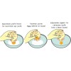 Talisman Designs Yolk Hero Egg Separator Red
