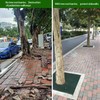 15ft x 18in x 60mil Tree Root Barrier -Protect Sidewalks