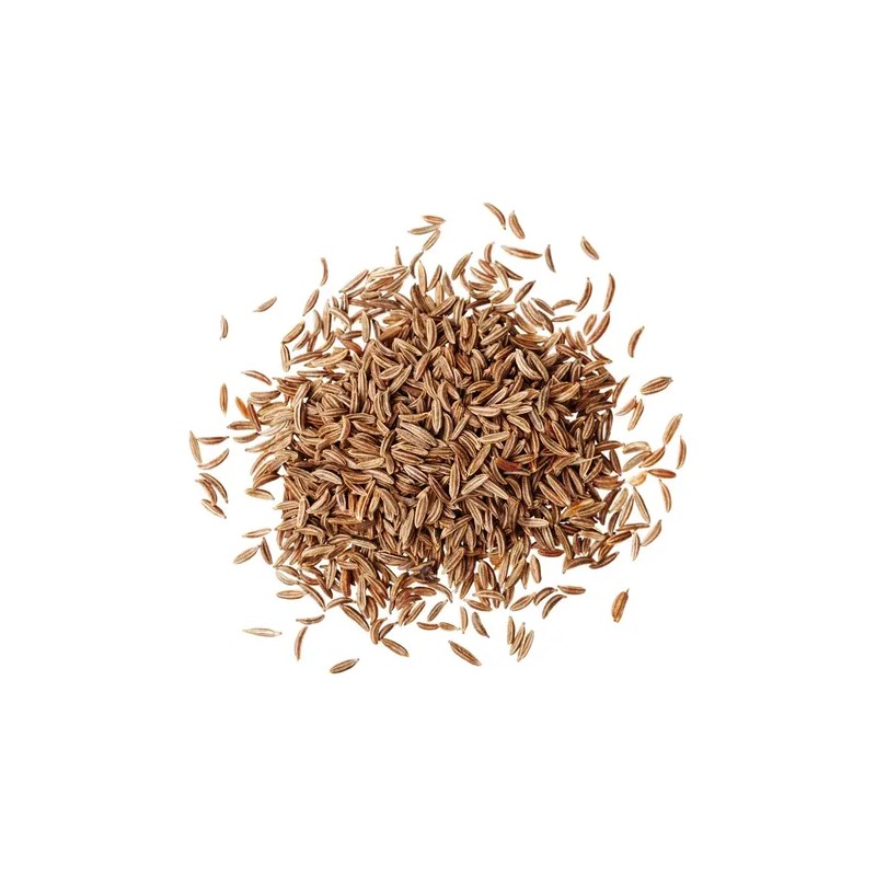 Semilla De Alcaravea 100 Gramos