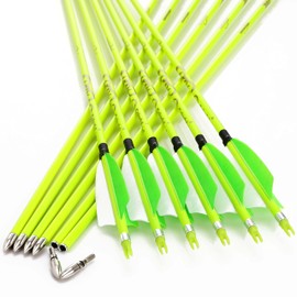 annastar 30" Carbon Feather Arrows Practice Hunting Arrows Spine 300 340 400 500 600 700 800 for Recurve Bow & Compound Bow (12 pcs) (30inch Spine 500, Neon Green)