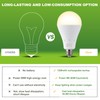 DABAOLUM 4 Pack Rechargeable Emergency Light Bulbs, Battery Powered LED
