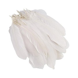 ASTRQLE 200PCS 6-9inches White Natural Goose Feather for Wedding Party Home Decor DIY Crafts