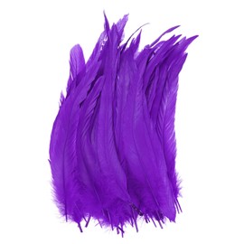 M METERXITY 50-Pack Natural Rooster Tail Feathers, 10-12 Inch / 25-30cm Long Rooster Tail Feathers for Crafting/Wedding/Dream Catcher/DIY Crafts Decorations [Dark Purple]