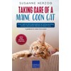 Taking care of a Maine Coon Cat: All you need