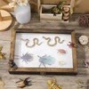 Cabilock Wooden Display Case Wooden Collection Box with Clear Glass