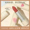 Gogo Tales Goggle Velvet Lip & Face Rouge GT517 G09 Sand Brown (GT517) 10ea