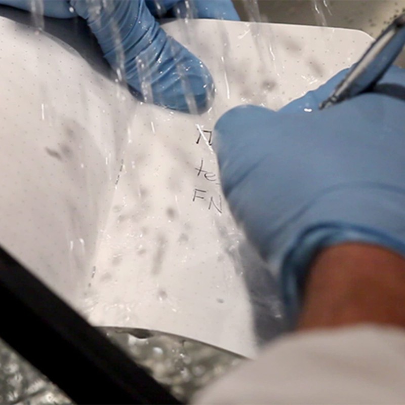 Field Notes: Expedition 3-Pack Waterproof Notebook with Dot-Graph Paper -