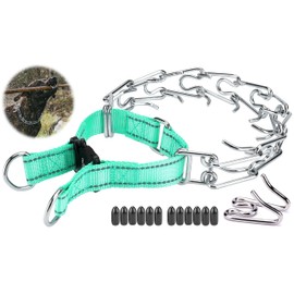 Pinch Collar for Dogs, Adjustable Quick-Release Stainless Steel Prong Collar for Small Medium Large Dogs (L/Neck Girth 16.9"-22.2", Teal #2)