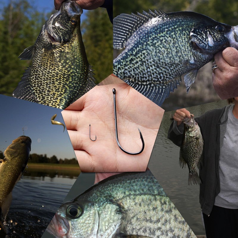 9KM DWLIFE Right Angle Jig Hooks Fishing - 50pcs Aberdeen
