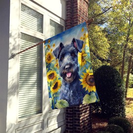 Caroline's Treasures DAC6106CHF Kerry Blue Terrier in Sunflowers House Flag Large Porch Sleeve Pole Decorative Outside Yard Banner Artwork Wall Hanging, Polyester, House Size, Multicolor