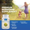 Sunergetic Premium Berberine Supplement - 1200mg Per Serving - Berberine