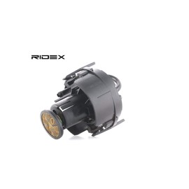 Ridex 458 °F0036 Fuel Pump Pump