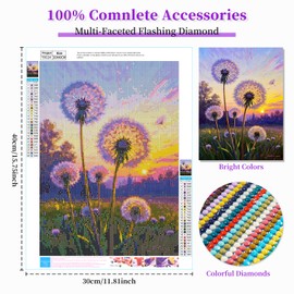 BWFY 12 Pack Diamond Art Kits for Adults,5D Diamond Painting Kits for Adults,Flower Series Paint with Numbers Diamonds for Home Wall Decor Festival Gift, 12x16 Inch