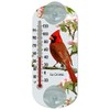 Lacrosse 204-1081 8-inch Analog Capillary Window Thermometer with Cardinal