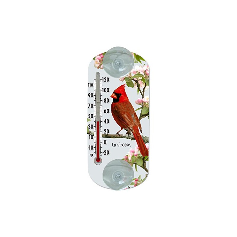 Lacrosse 204-1081 8-inch Analog Capillary Window Thermometer with Cardinal