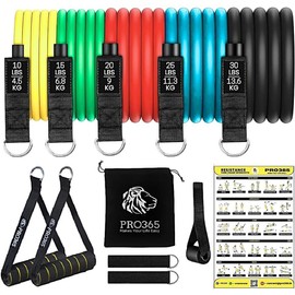 PRO365 Premium Resistance Bands with Door Anchor & Foam Handles, Weight Display Toning Tubes, Carrying Bag and Ankle Straps Included (1 Year Brand Warranty)