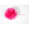 Clairefontaine 395427C Set of 3 Pompoms Tissue Paper, Diameter 30