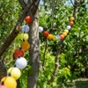 GuirLED - Outdoor garland with light balls LED guinguette -