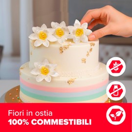 dekora – Fiori commestibili per torte – 10 margherite in cialda, 7 cm – Senza zucchero, glutine e lattosio – Decorazioni commestibili per Cupcake, Matrimonio, Compleanno, Battesimo