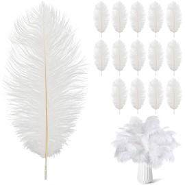 Ostrich Feathers,14pcs White Ostrich Feathers,Natural Ostrich Feathers,9-10in(20-25cm) Large White Feathers,White Feathers for Crafts,for DIY Craft Art Design Home Wedding Table Decoration