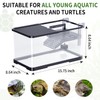 (Tank + Light +Pump + Filter + Filter Balls) Turtle