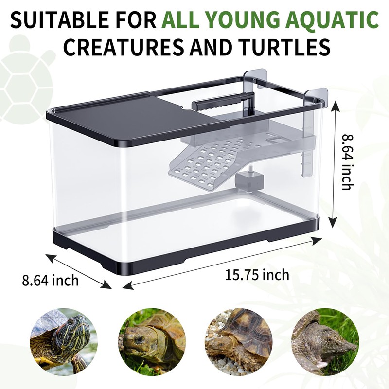 (Tank + Light +Pump + Filter + Filter Balls) Turtle