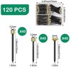 120Pcs Picture Hanging Nails, BetterJonny 3 Sizes Brass Head Hanging