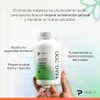 Primetech Nutrition Magnesio Citrato MAG 200, 100 Cáps 200 Mg